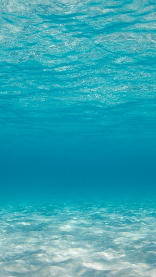 underwater-nature-ocean-sea-1136x640