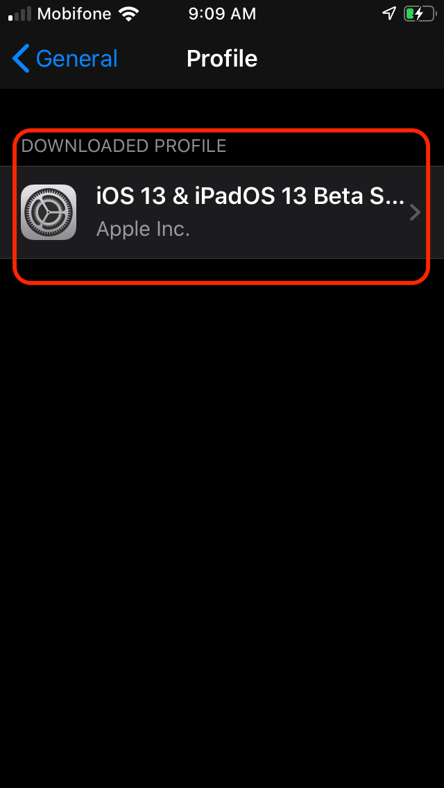 Chọn iOS 13 & iPadOS 13 